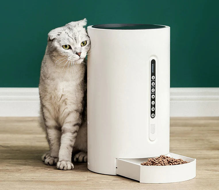 Timeless Love: The Scheduled Cat Feeder.