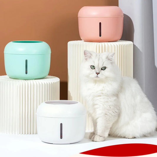 Stylish Hydration: Enhance Your Cat's Water Routine with a Chic Water Feeder