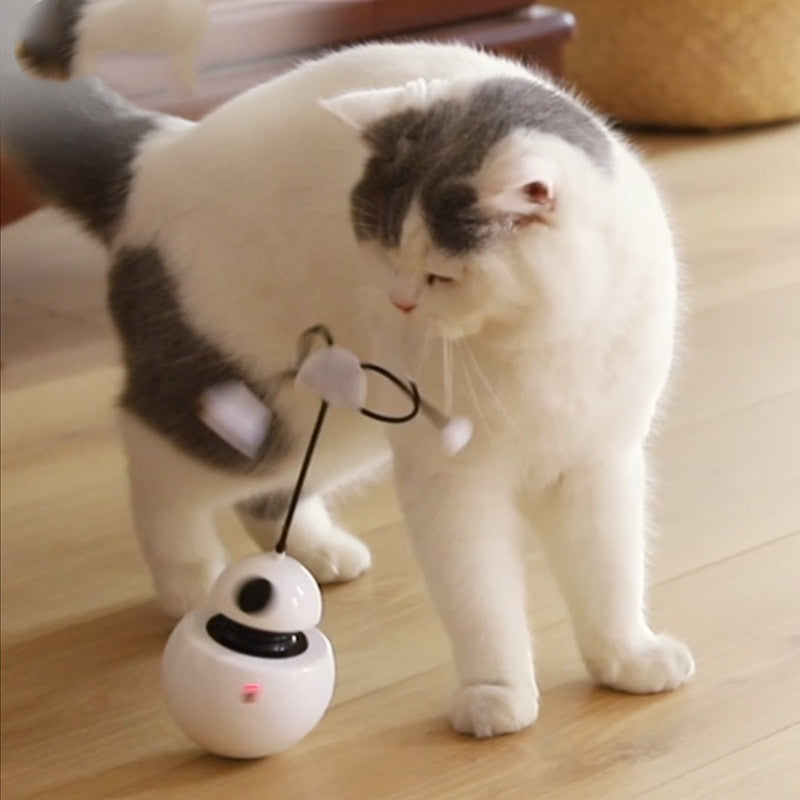 Interactive Laser Tease Cat Toy