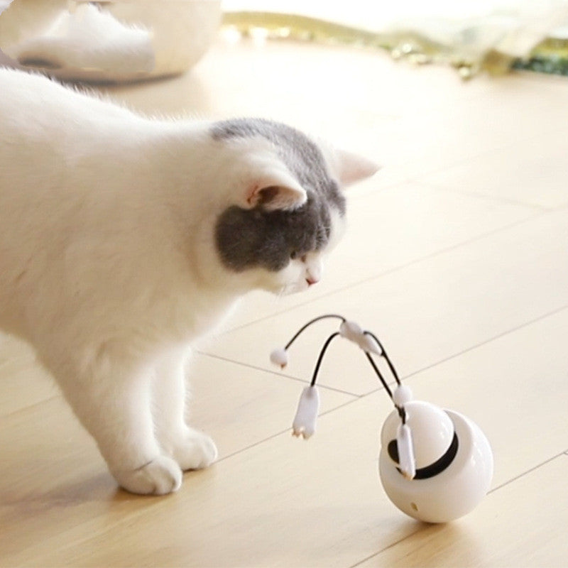 Interactive Laser Tease Cat Toy