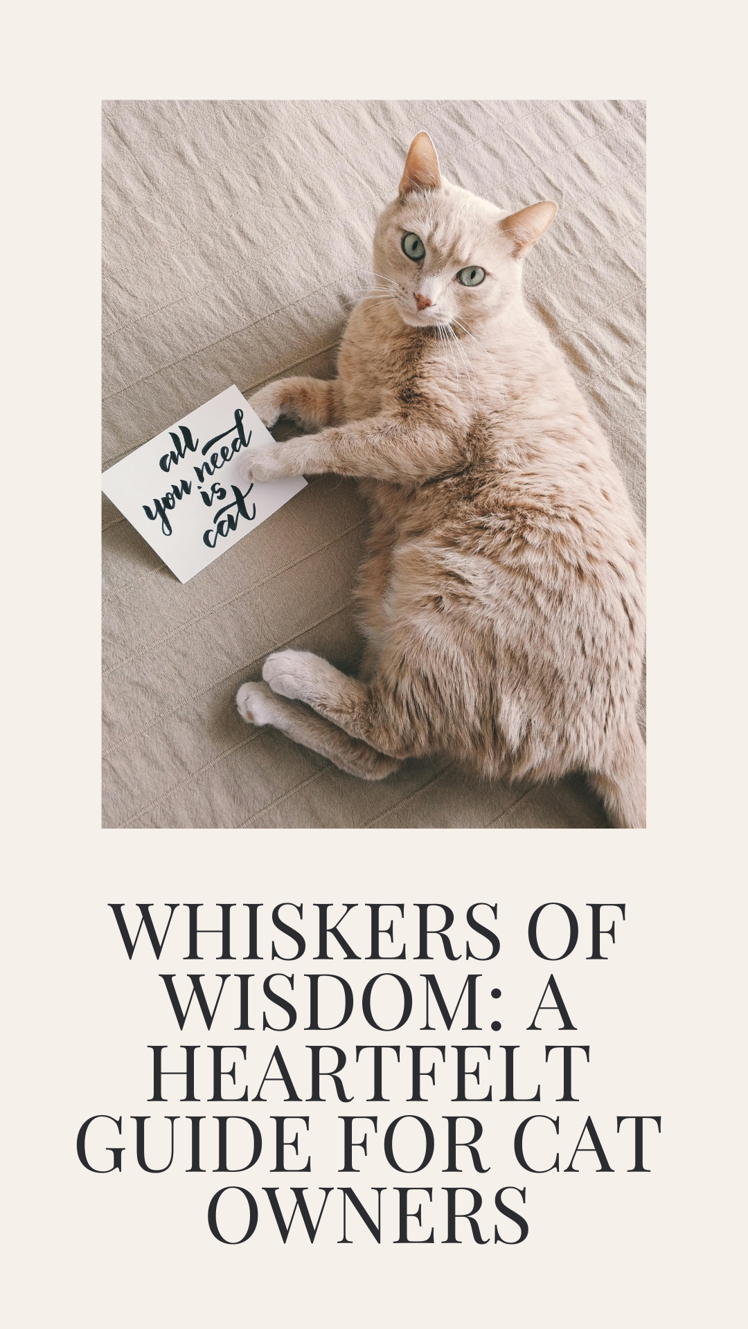 Whiskers of Wisdom - A Heartfelt Guide for Cat Owners.