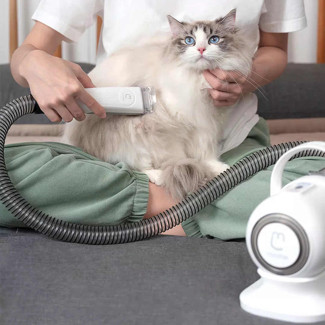 Purrfect Cat Spa Grooming Kit